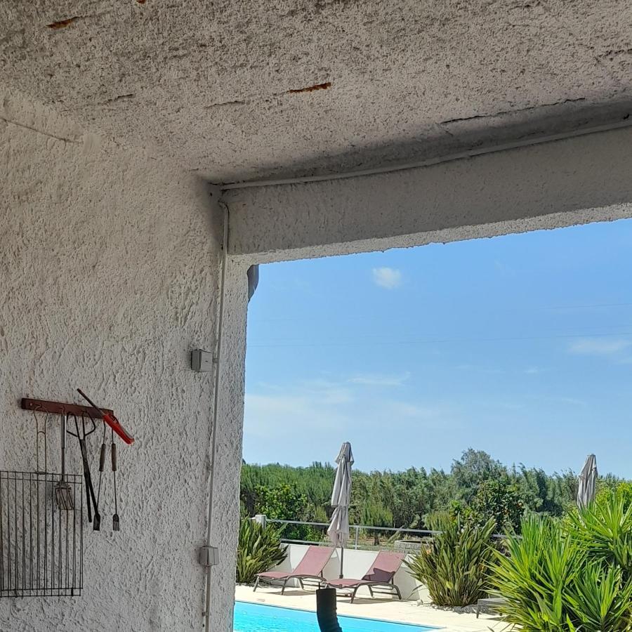 Villa Casa Calado à Cadima Extérieur photo